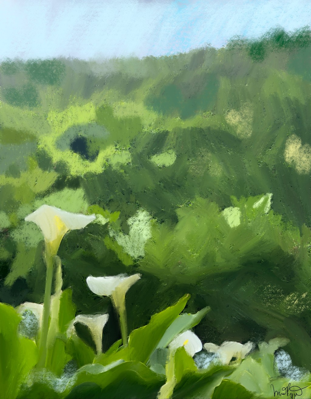 Cala Lily Valley Perspective&nbsp;I